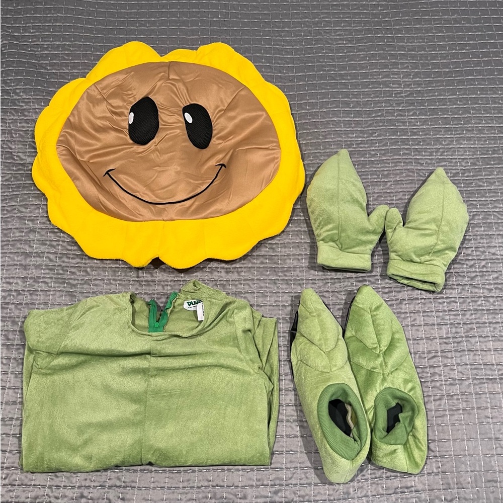 Plants vs Zombies costume for kids.